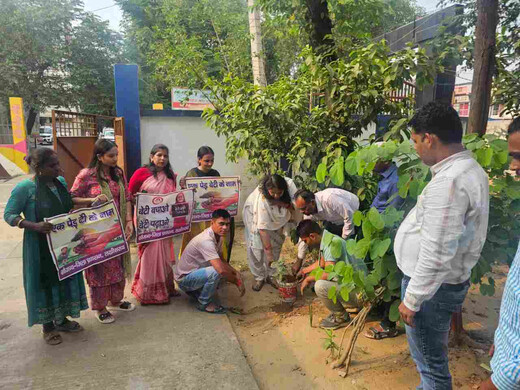लखीसराय में लगाया गया एक पेड़ बेटी के नाम, बेटी और पर्यावरण संरक्षण का दिया संदेश